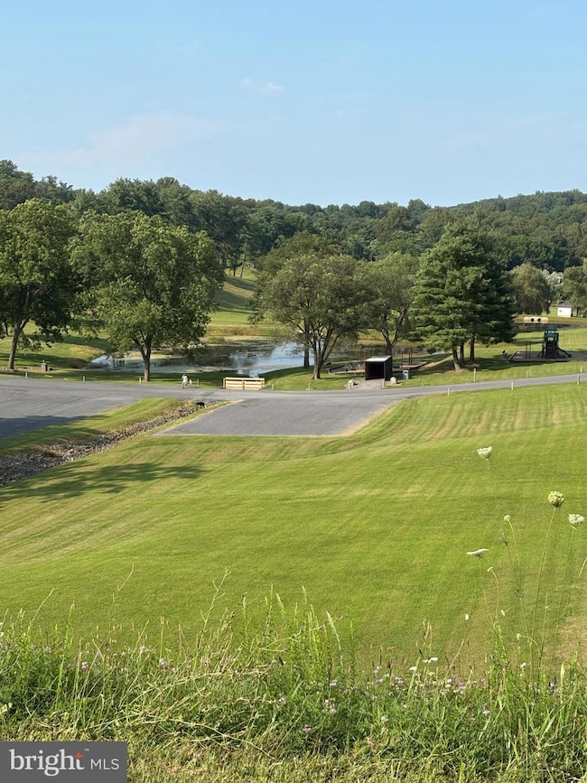 Lot 30 Cochise Trail, Shawneeland, VA 22602 - photo 2