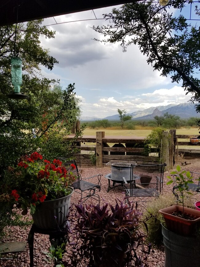 Front yard