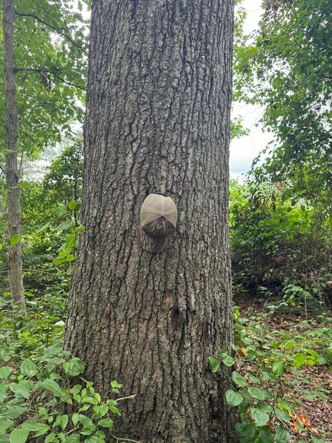 3580 Keith Valley Rd NE, Dalton, GA 30721 - photo 7