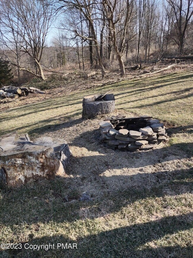 67 E Sterling Rd, Newfoundland, PA 18445 - photo 6