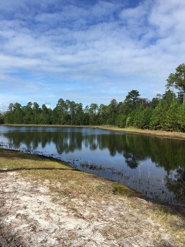 214 Fiddlers Cove Dr, Kingsland, GA 31548 - photo 5