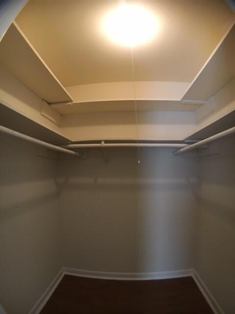 Walk in closet with dark wood-type flooring