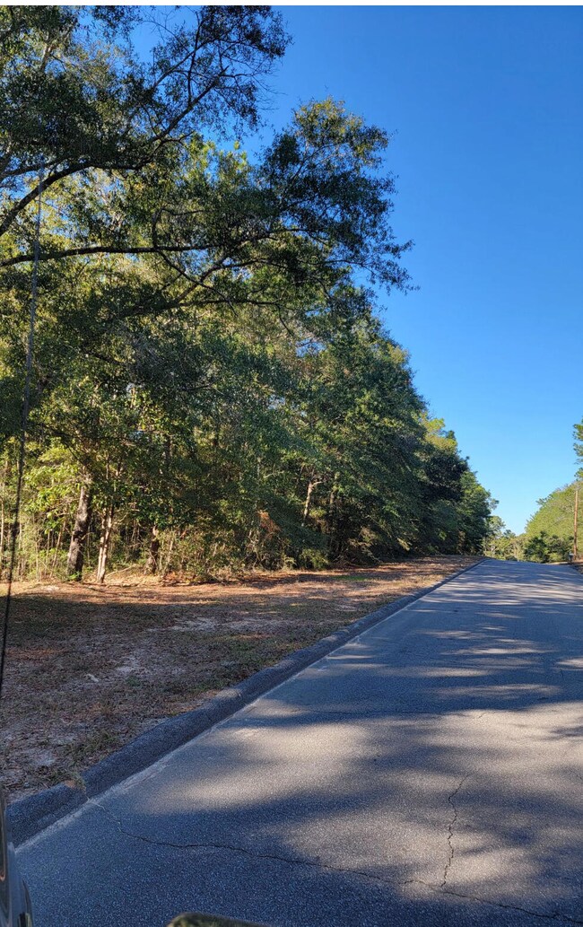 Willow Ln Street View