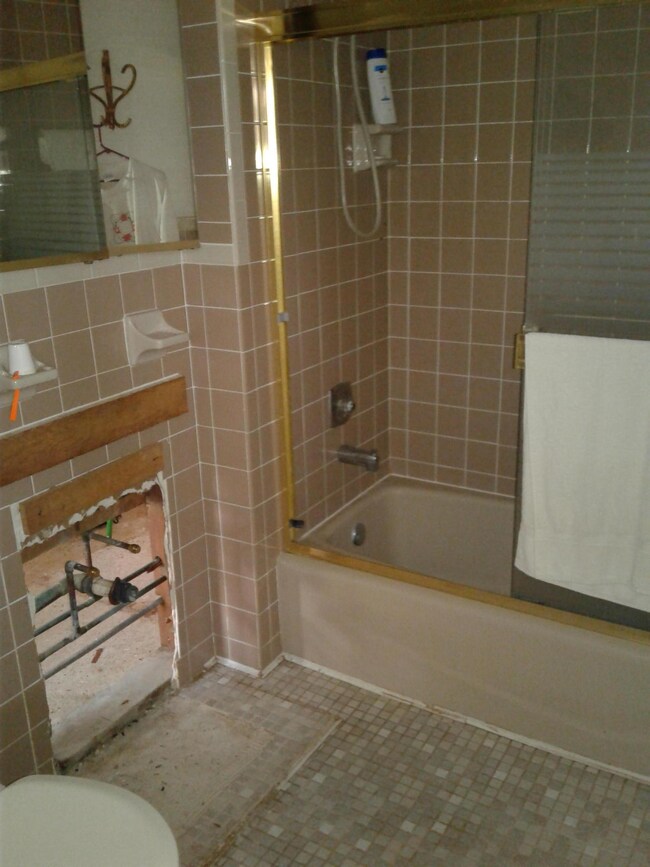 Hall bathroom