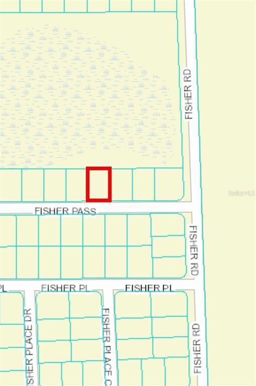 4 Fisher Trace, Ocklawaha, FL 32179 - photo 4