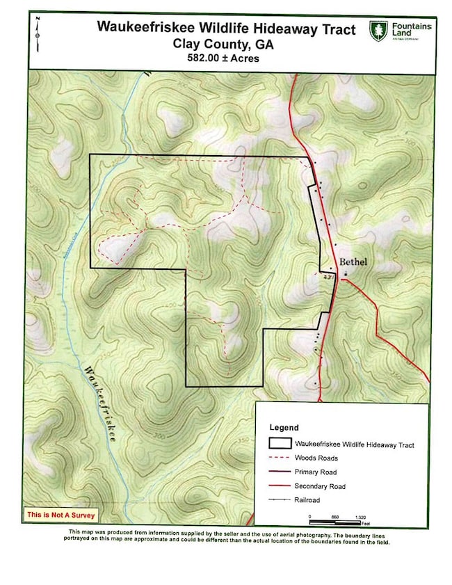 TBD Bethel Rd, Ft. Gaines, GA 39851 - photo 5