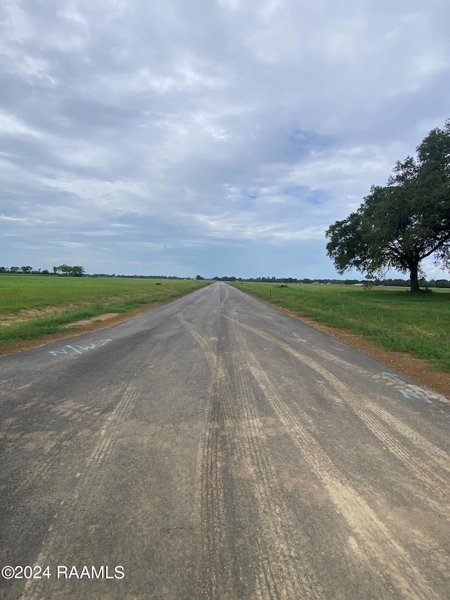 3904 Chemin Belle Terre, Maurice, LA 70555 - photo 2