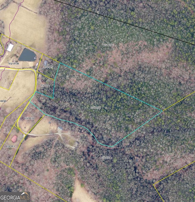 0 Benfield Ln unit 10655737, Clarkesville, GA 30523 - photo 2