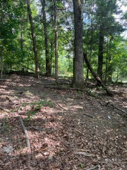 0 Strathdon Ln, Bella Vista, AR 72715 - photo 3