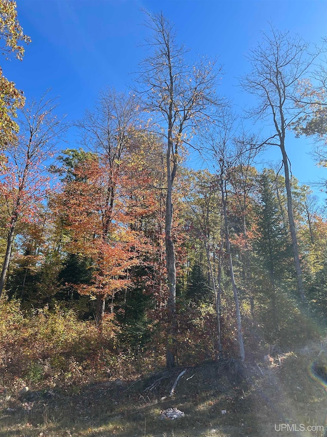 Parcel 1A Bridgeview Ln, Negaunee, MI 49866 - photo 6