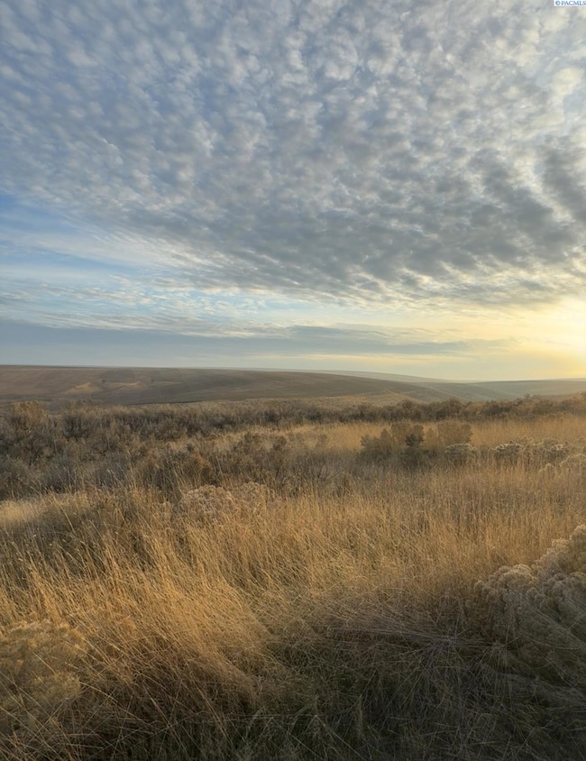 NKA E 973 Prairie SE, Kennewick, WA 99338 - photo 3