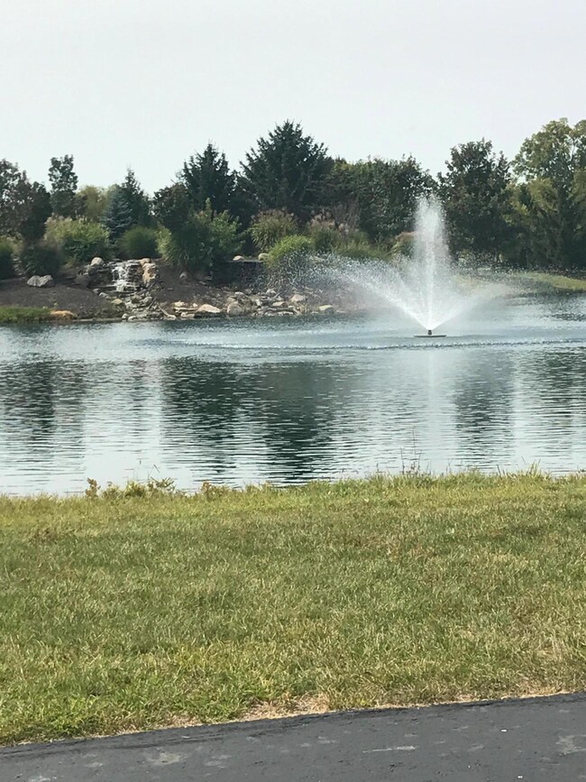 Pond with relaxing fountain