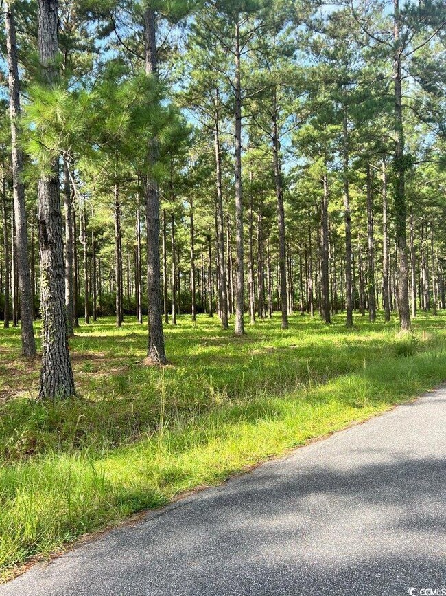 TBD Ashley Cir unit Lot 5, Conway, SC 29526 - photo 2