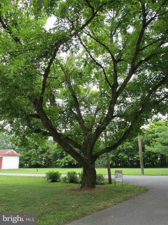 0 Trees Bottom Rd unit 1003121798, Martinsburg, WV 25404 - photo 4