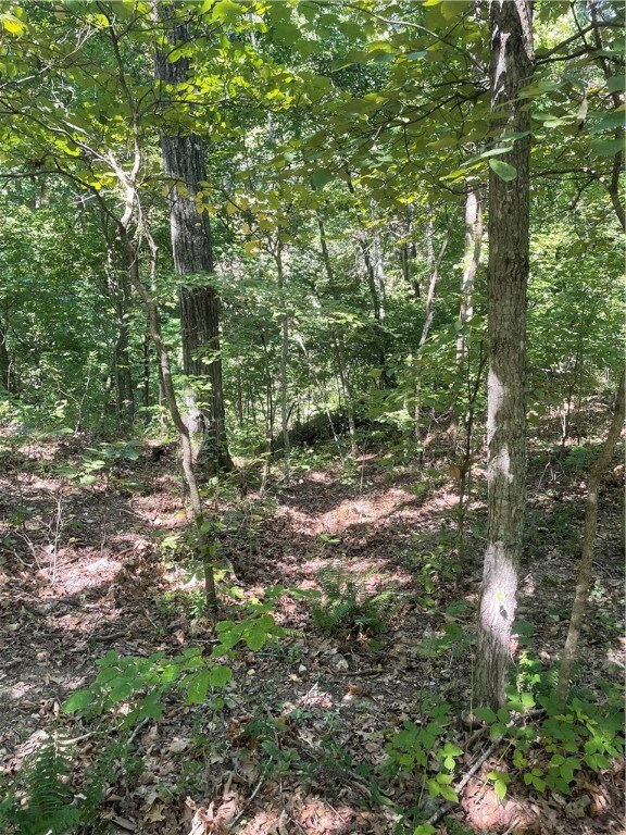 0 Patton Ln, Bella Vista, AR 72715 - photo 2