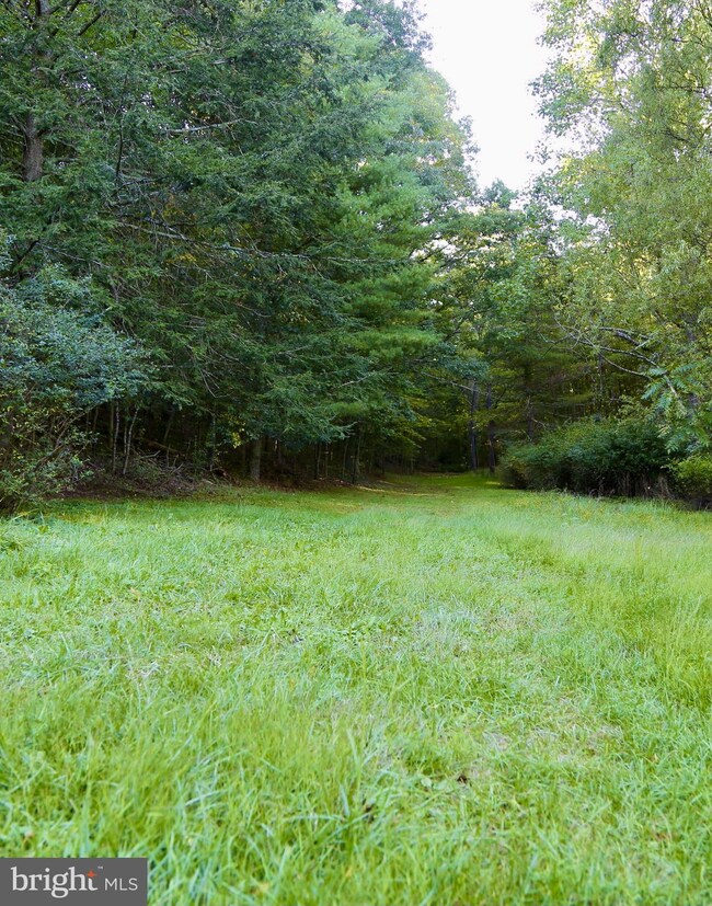 44 High Ln, Mathias, WV 26812 - photo 7