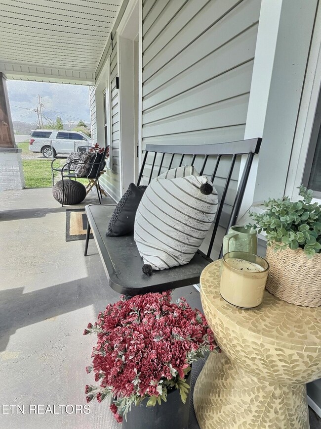 165 Lake Shore Ln, La Follette, TN 37766 - photo 4