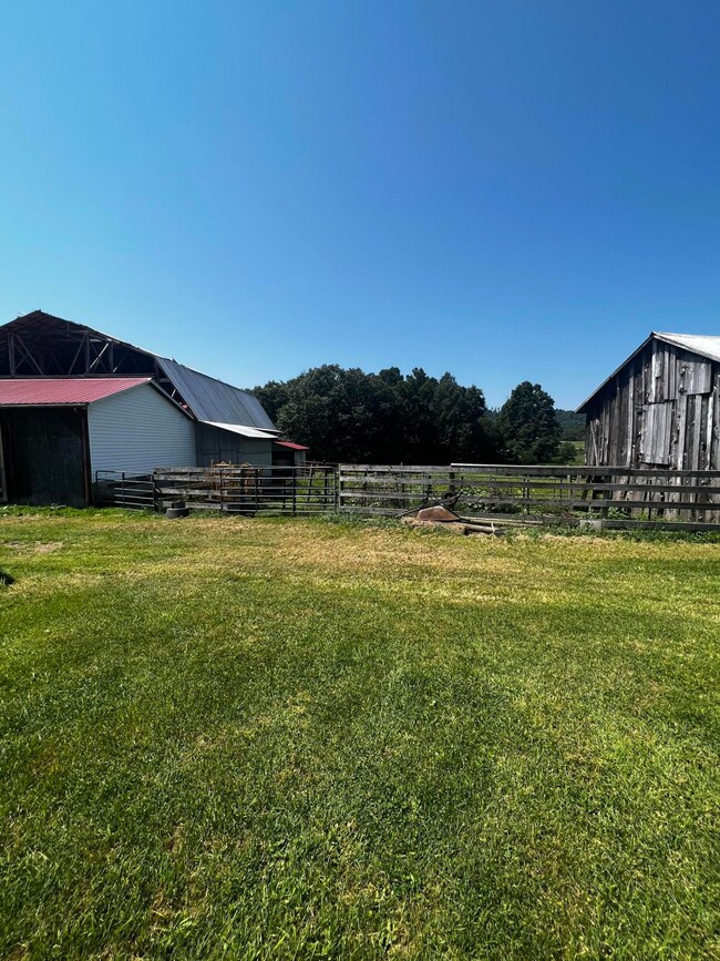 86 Cecil Underwood Ln unit 86, Canvas, WV 26662 - photo 6