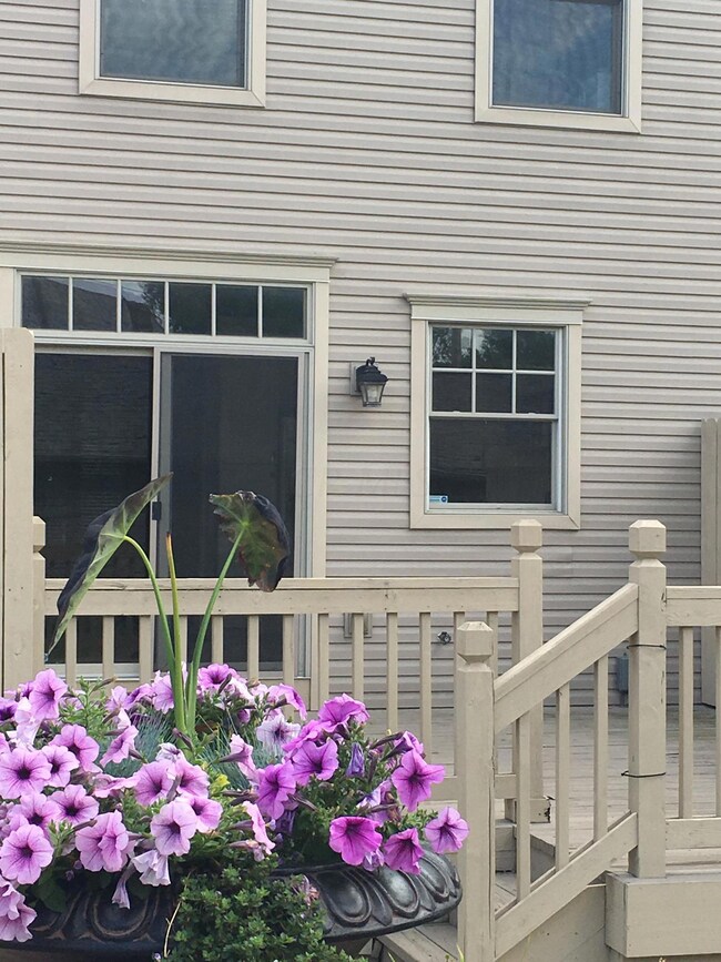 358 patio