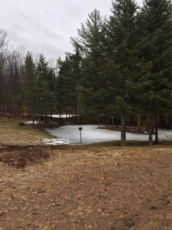 2 ponds on the property.