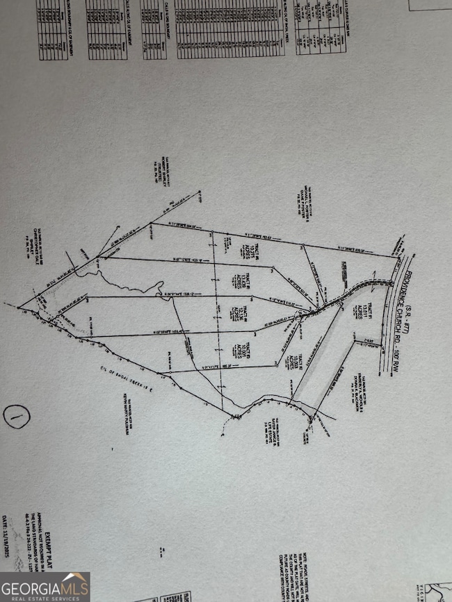 3439 TRACT 2 Providence Church Rd, Hartwell, GA 30643 - photo 3