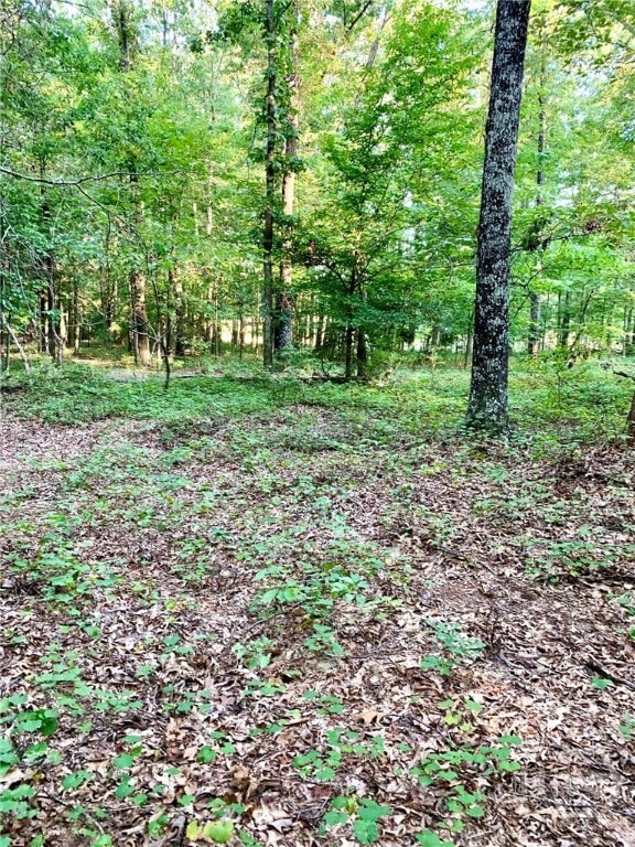 0 Archer Grove School Rd unit Tract B CL339824, Athens, GA 30607 - photo 3