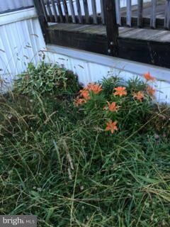 13111 Cherylington Ln, Spotsylvania, VA 22551 - photo 6