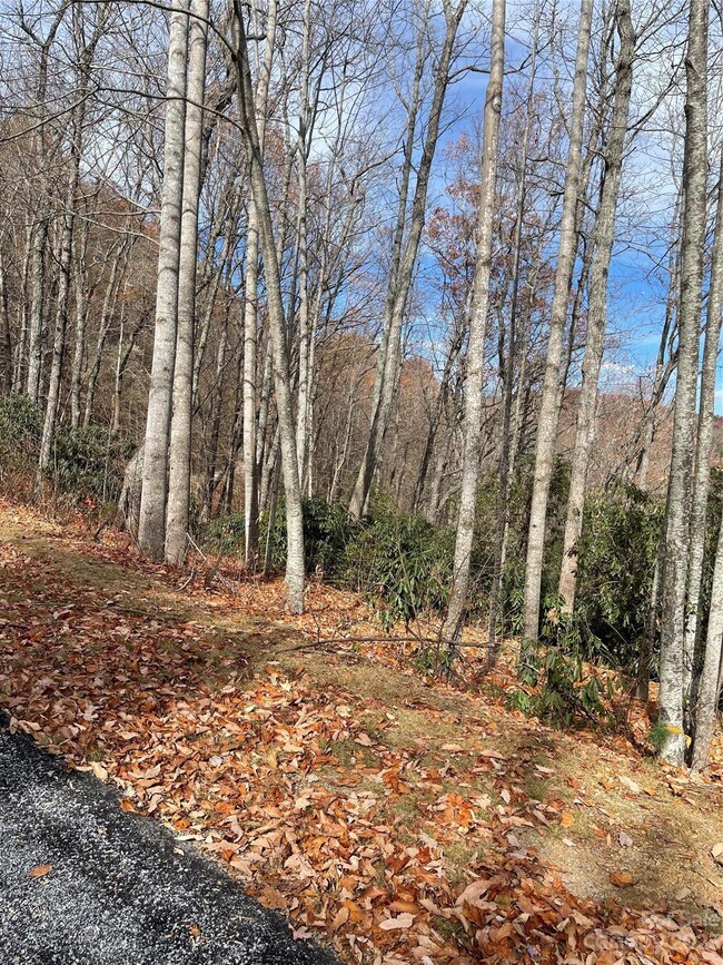 000 Eagle Ridge Rd, Zirconia, NC 28790 - photo 3