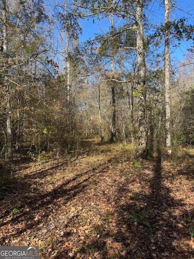 4517 Georgia 18, West Point, GA 31833 - photo 6