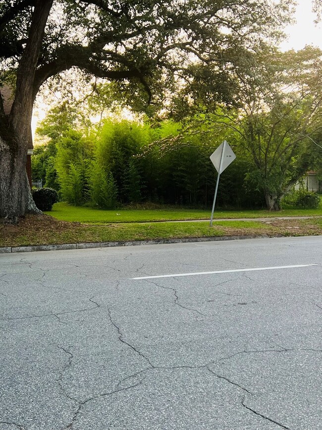 413 N Jackson St, Albany, GA 31701 - photo 2