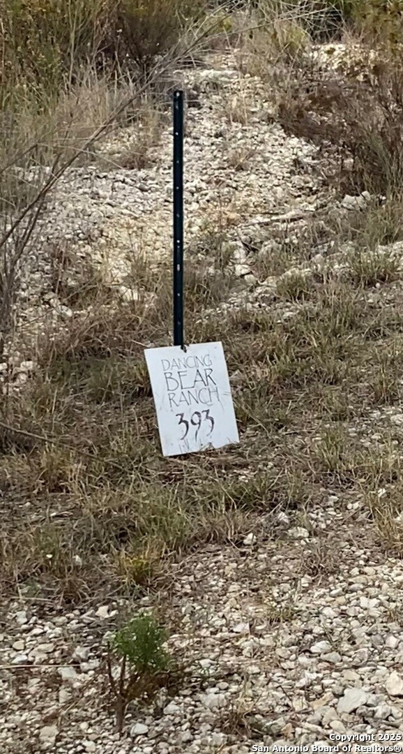 393 Private Rd, Castroville, TX 78009 - photo 4