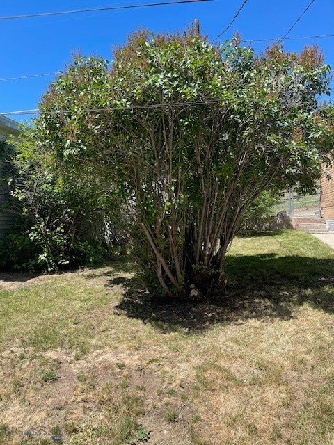 YARD