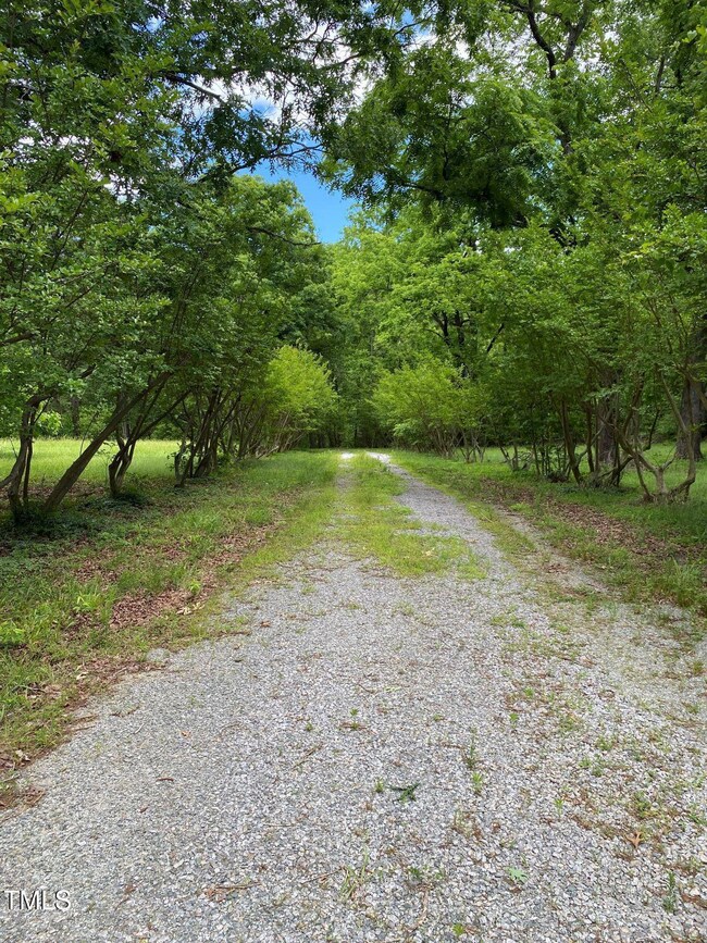 Driveway