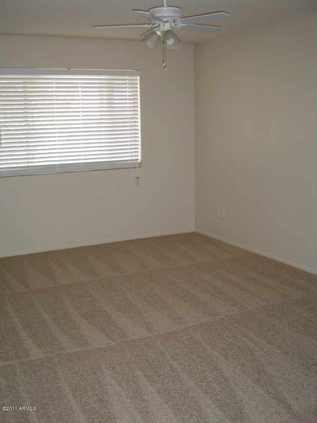 plush carpeting