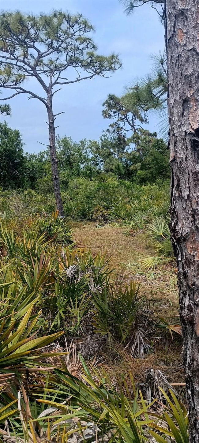 000 None, Grant Valkaria, FL 32950 - photo 7