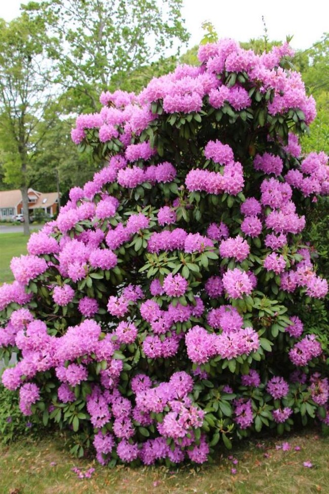 1 Cross Rd, Buzzards Bay, MA 02532 - photo 7