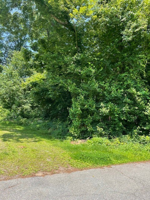 Wapping Drive front view of land with mature trees