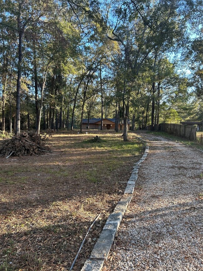 Front Yard.