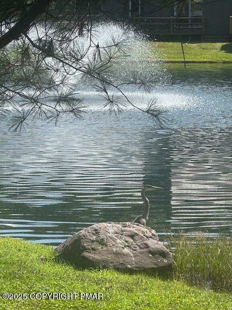 116 Snow Ridge Cir, Lake Harmony, PA 18624 - photo 5