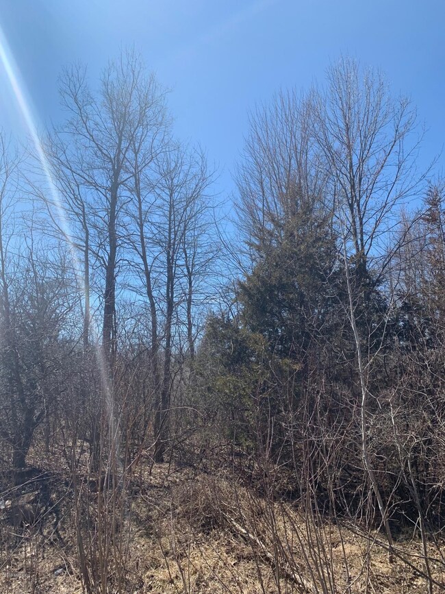 0 58th St unit A, Pullman, MI 49450 - photo 7