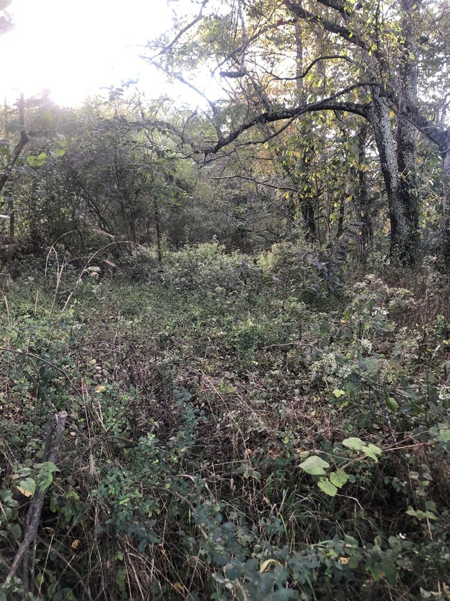 0 Ross Rd, Pulaski, TN 38478 - photo 6