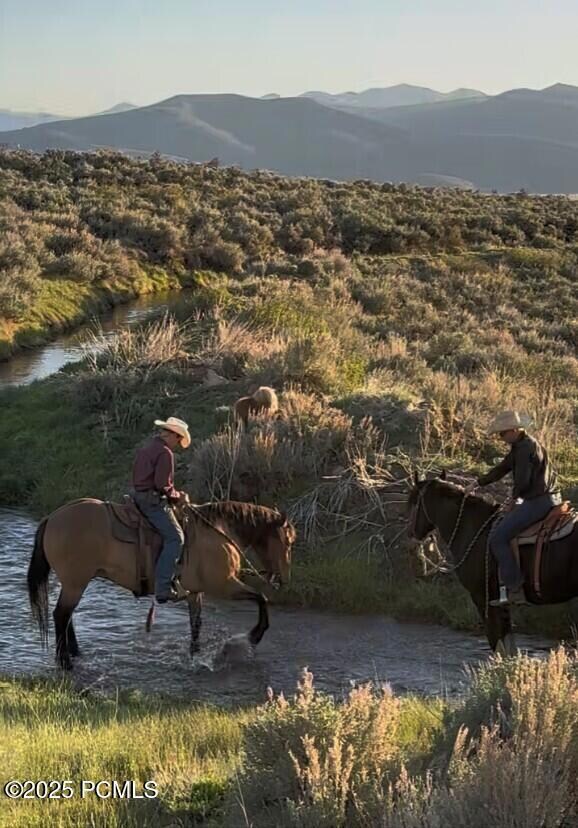 875 E Hoyt Peak Ranch Rd unit 2, Marion, UT 84036 - photo 4