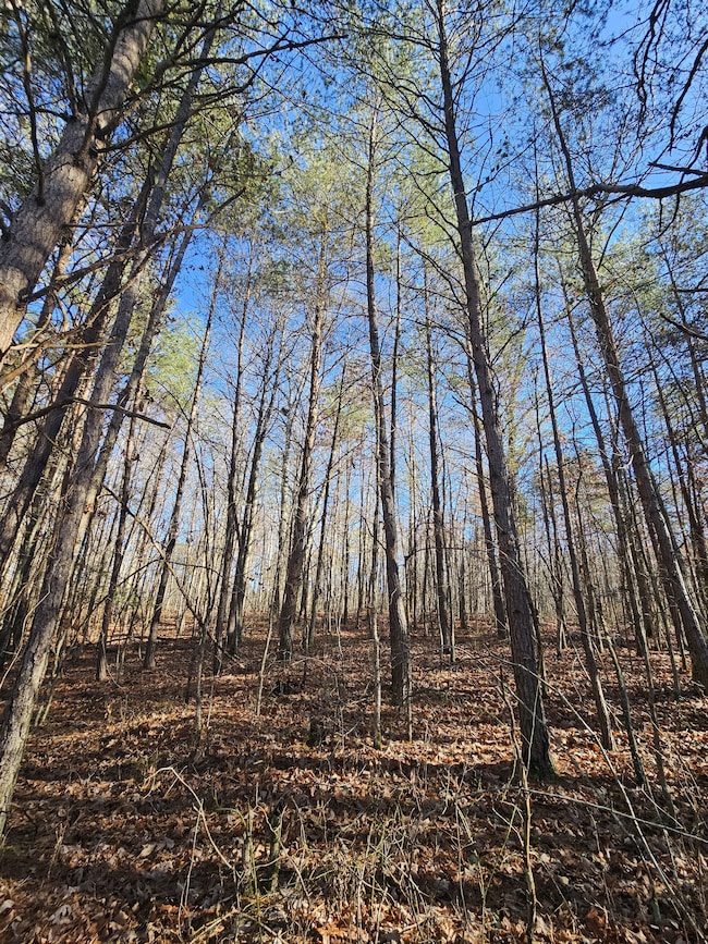 242 Ranger Creek Rd, Coalmont, TN 37313 - photo 5