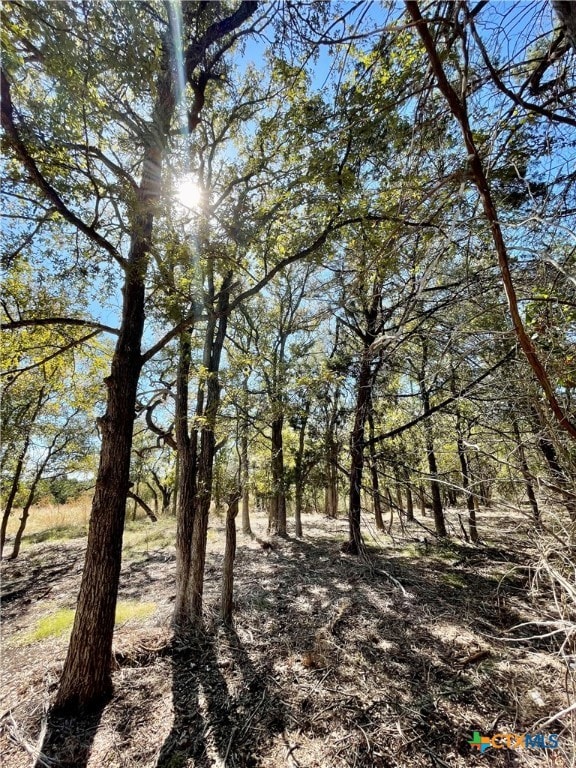 2887 Cr 255 - Family Compound, Georgetown, TX 78633 - photo 3