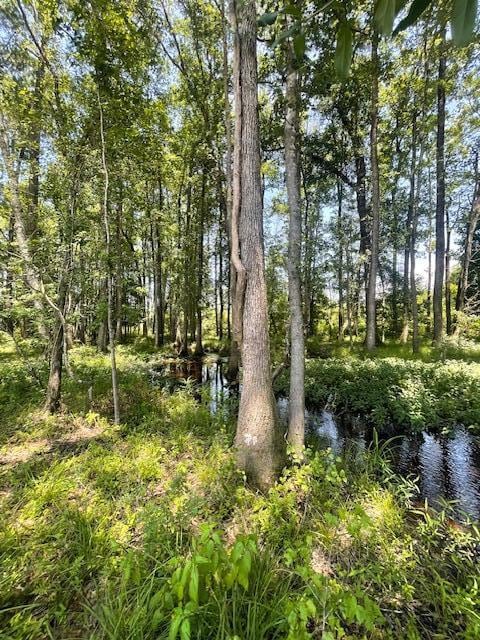 648 Bc Estates Ln, Cross, SC 29436 - photo 4