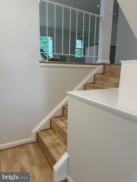 10454 Parthenon Ct, Bethesda, MD 20817 - photo 3