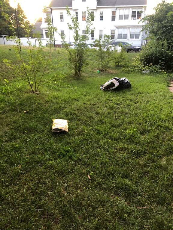 22 Sachem St, Chicopee, MA 01013 - photo 3