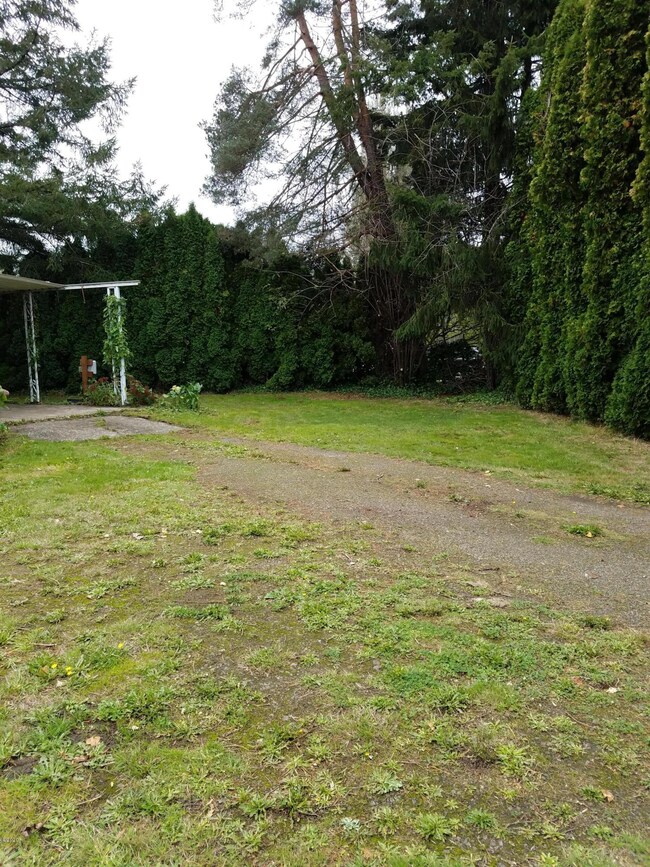 Side Yard