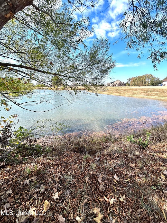 lake view 2