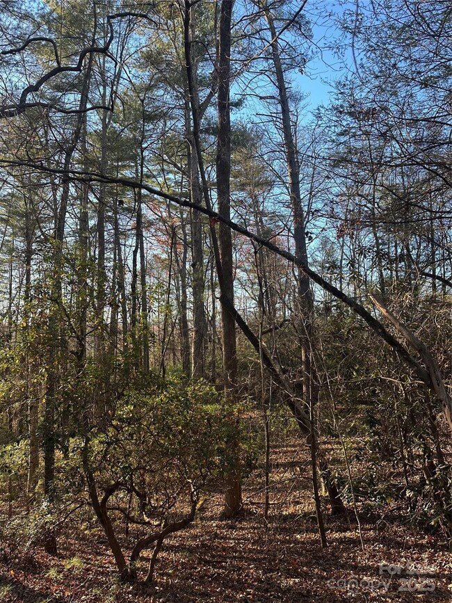 45 Westview Dr, Marion, NC 28752 - photo 7